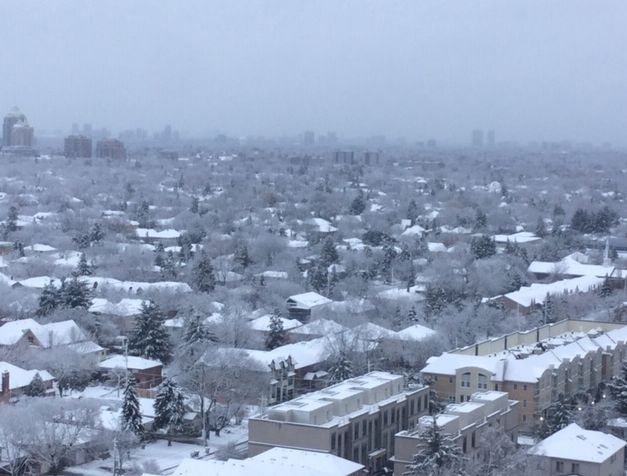 聽友分享多倫多的雪景