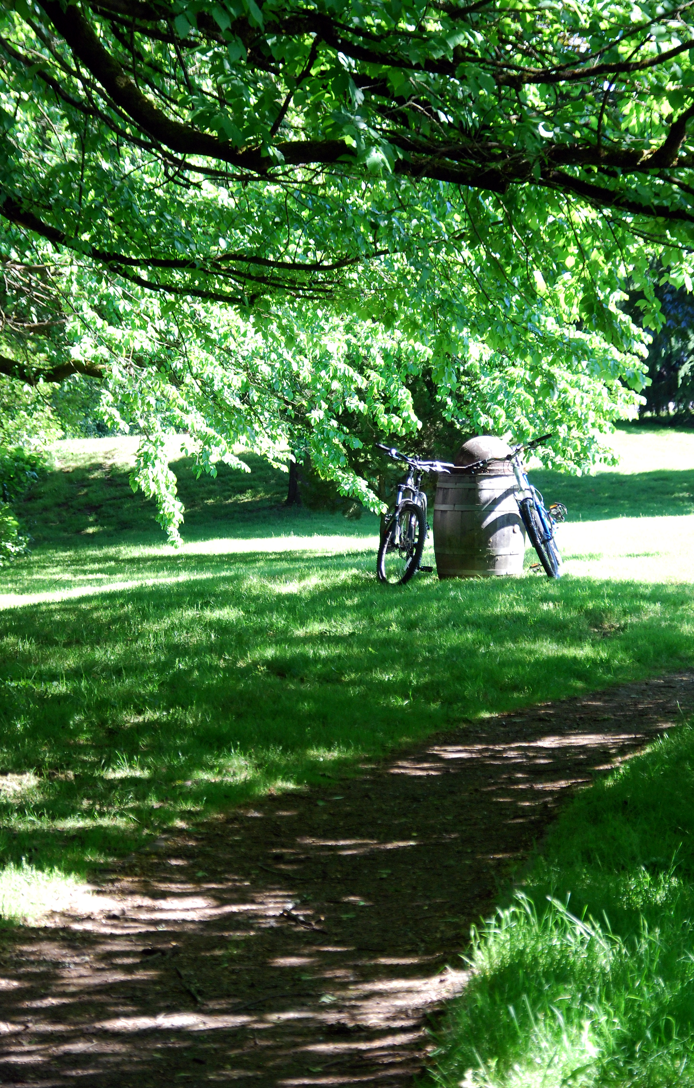 下脯時的詩光