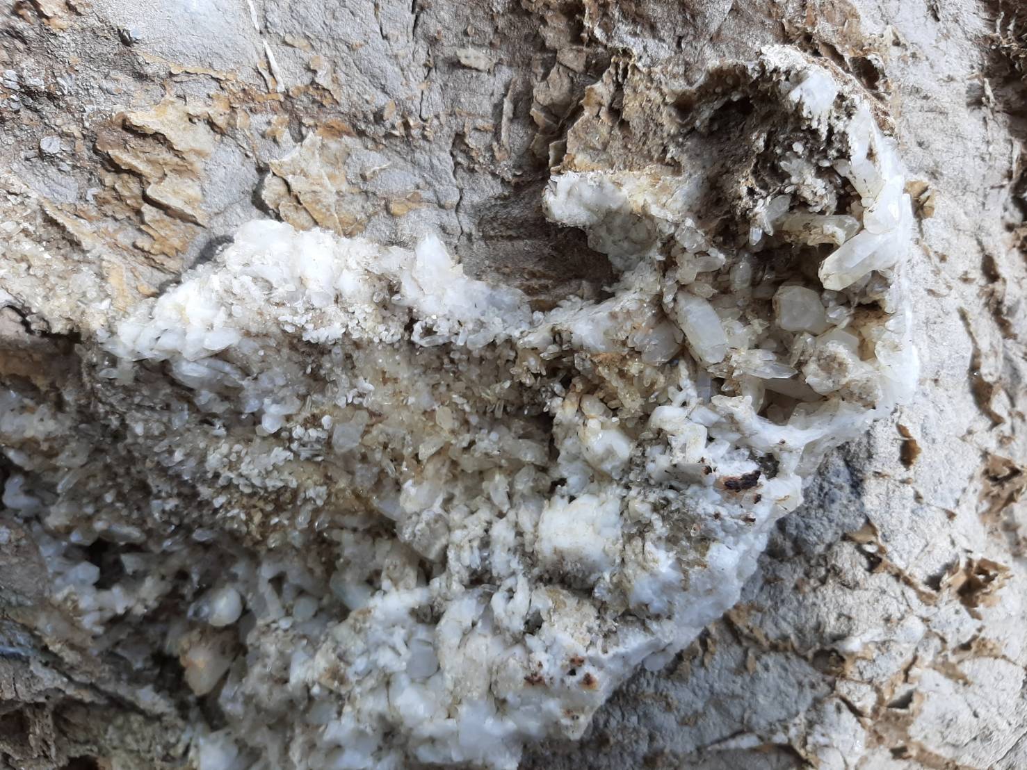 戀戀臺灣 戀戀臺灣