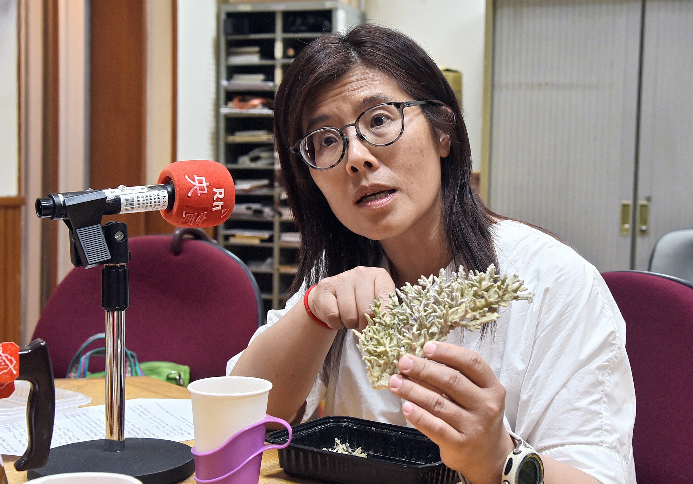 美麗的臺灣