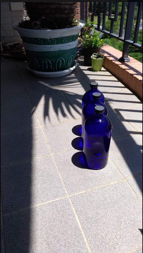 強化免疫重要營養成分;暑期保養得清涼 強化免疫重要營養成分;暑期保養得清涼