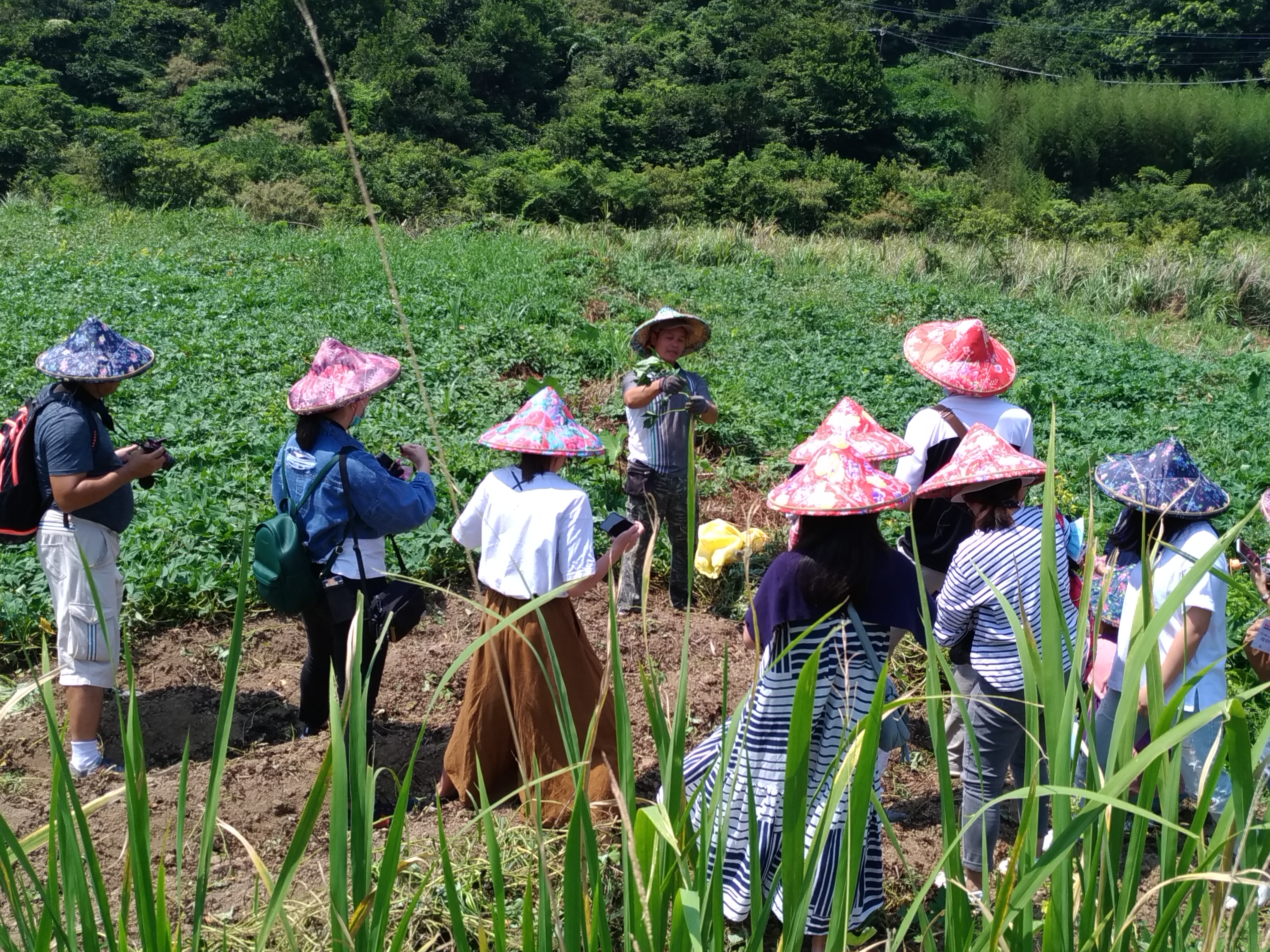 臺灣活力GO 臺灣活力GO