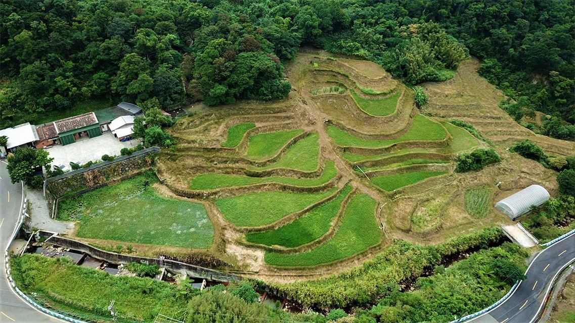 新北市石門區出磺口農場陳國志返鄉務農 推動永續農業
