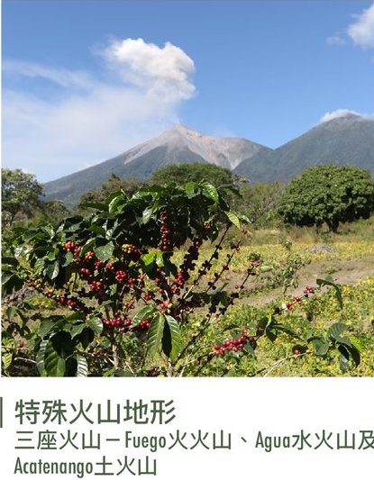 生命大不同