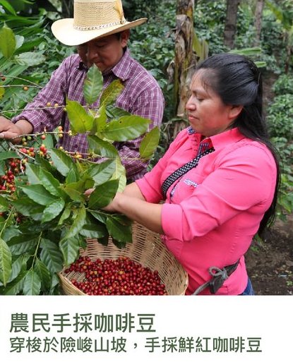 生命大不同