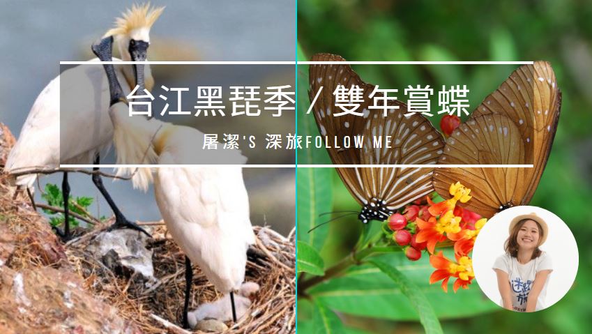 春天限定遊：紫蝶幽谷、台江黑琶季