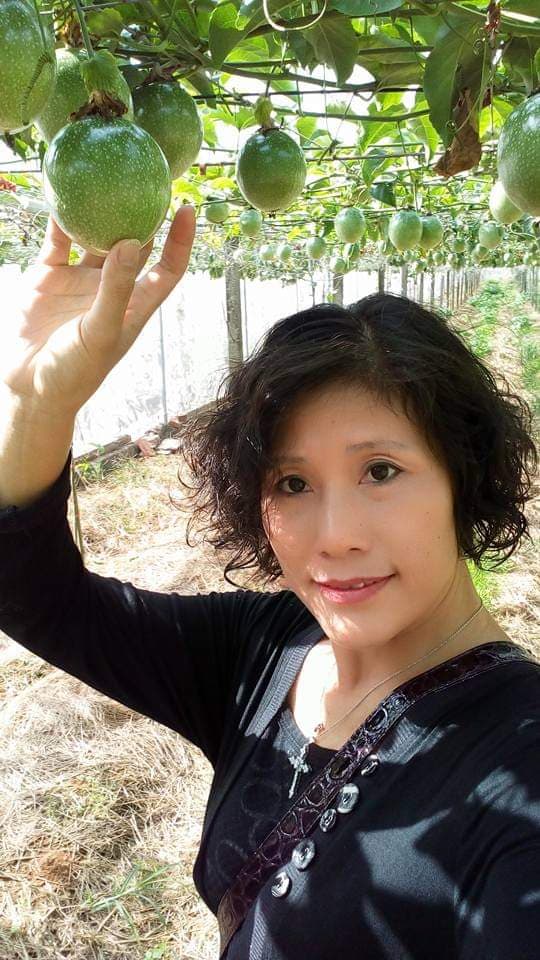 兩岸我的家