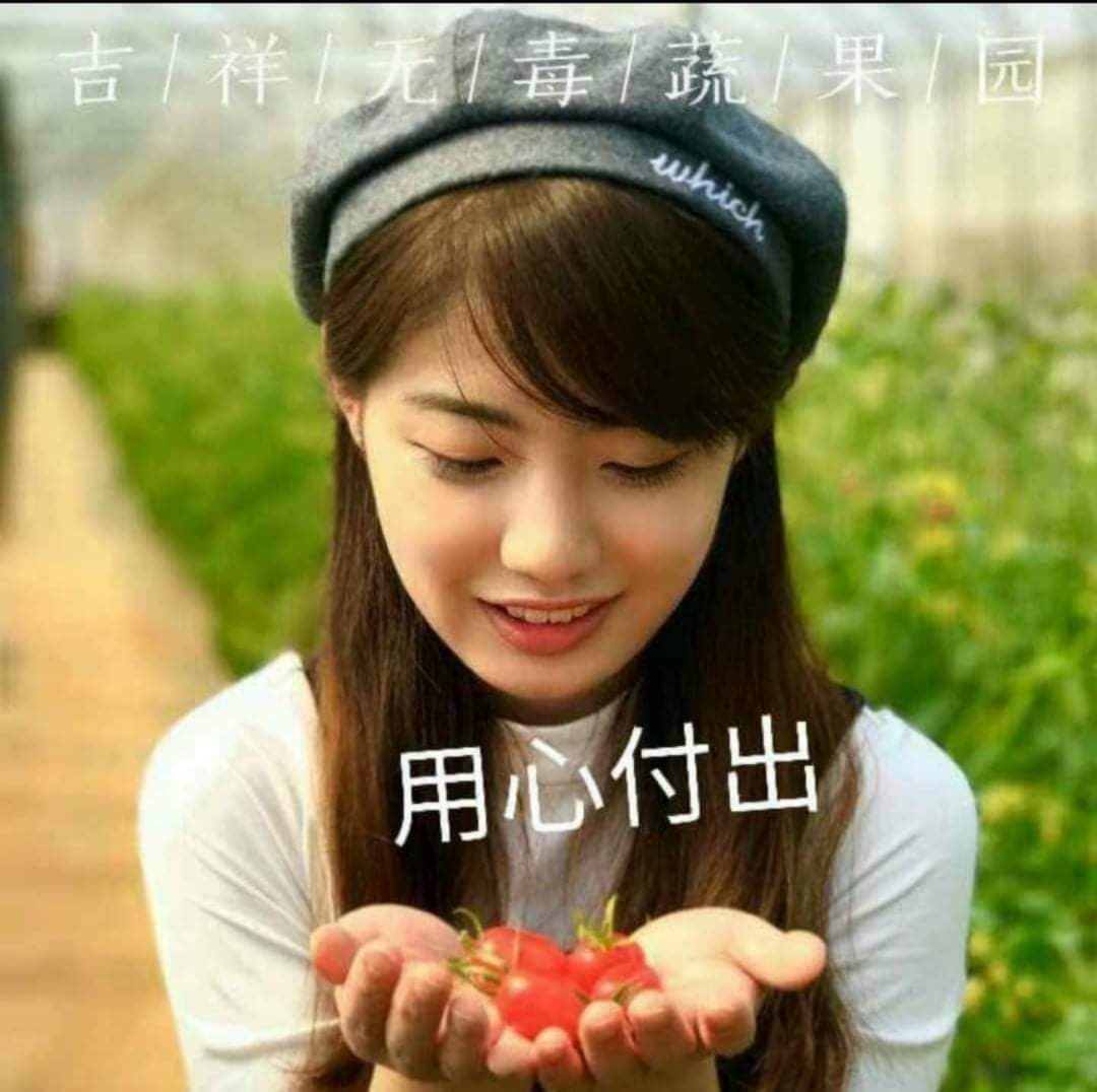 昔日房產公司高管曹凱寧 與夫努力打造無毒精緻農業 昔日房產公司高管曹凱寧 與夫努力打造無毒精緻農業