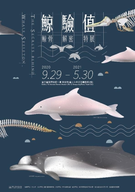 鯨驗值－鯨骨解密特展