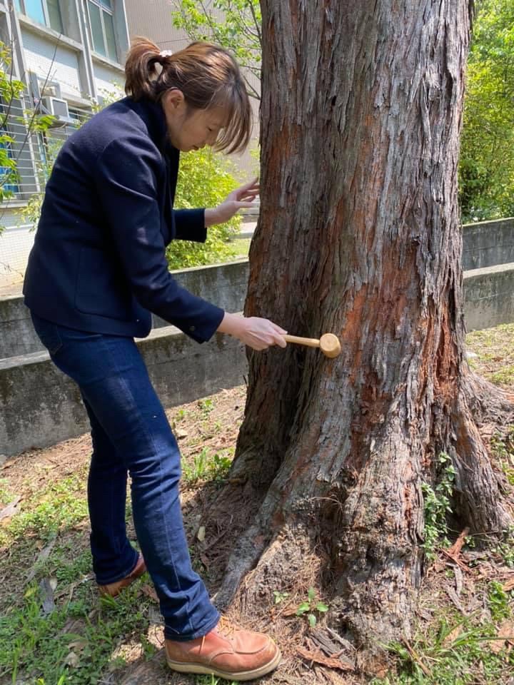 為樹請命，自然共生 樹醫詹鳳春一生志業