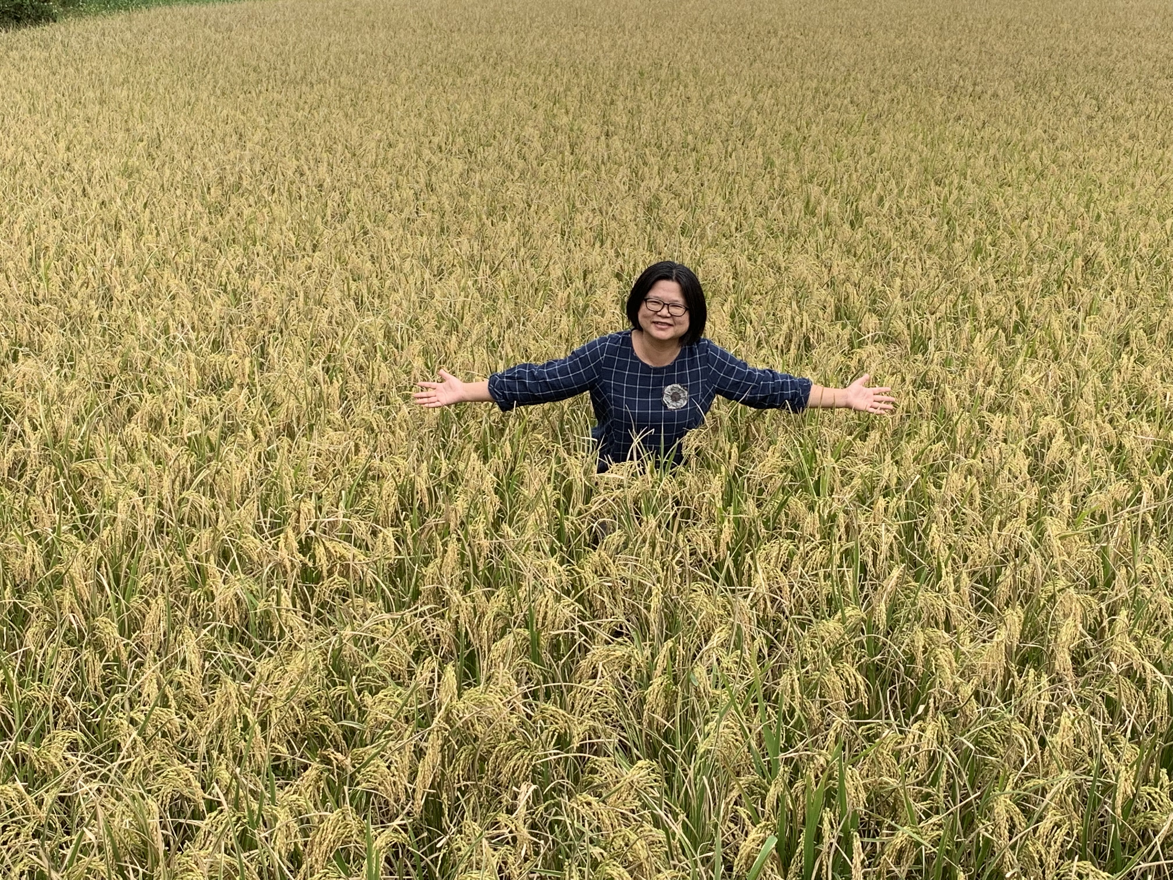 走在有機風潮上領導品牌的銀川米
