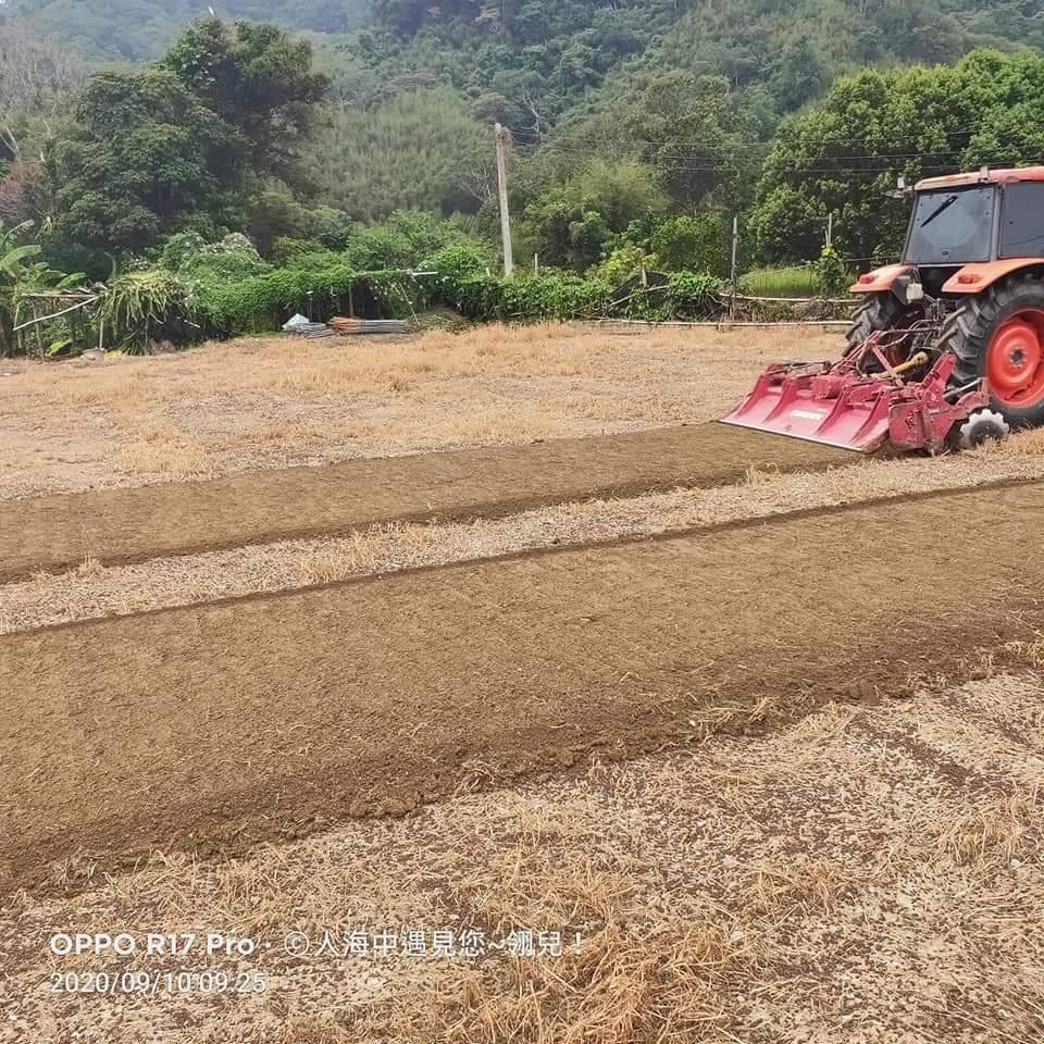 兩岸我的家