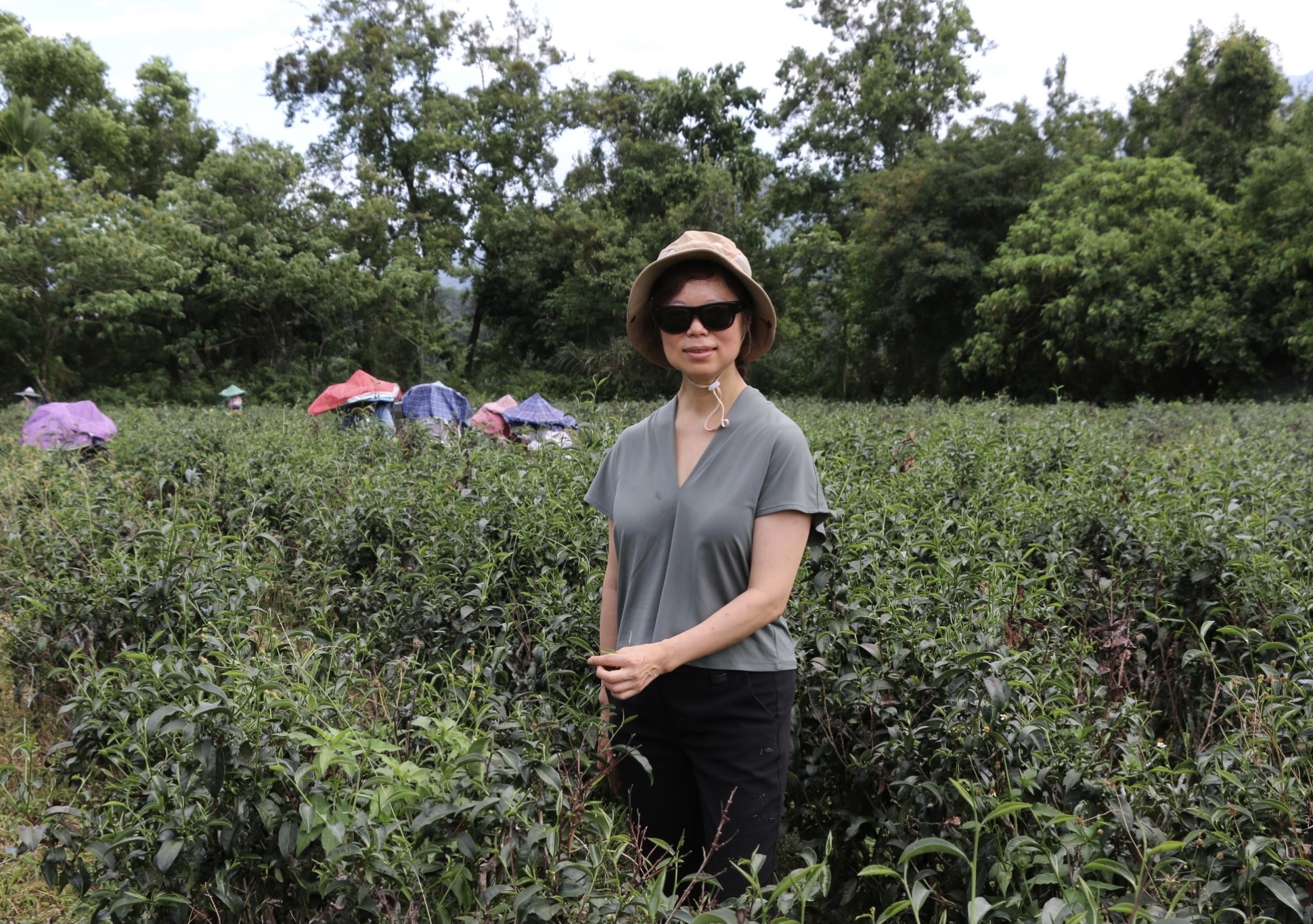 農業創新與小農推廣