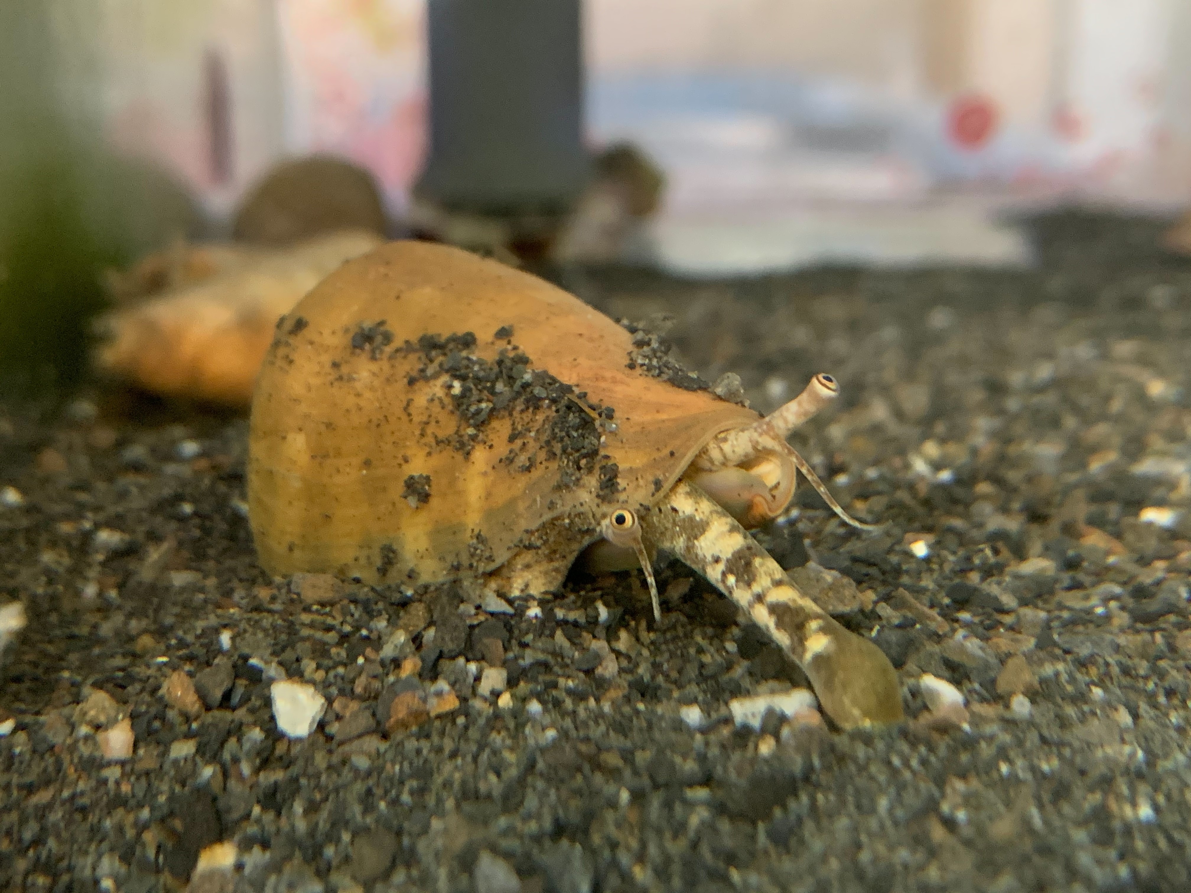 人與海的距離