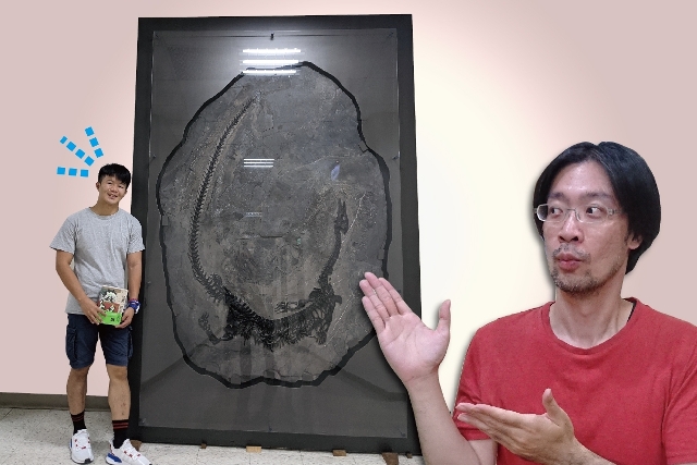 給我30分鐘，從大人的視角看恐龍