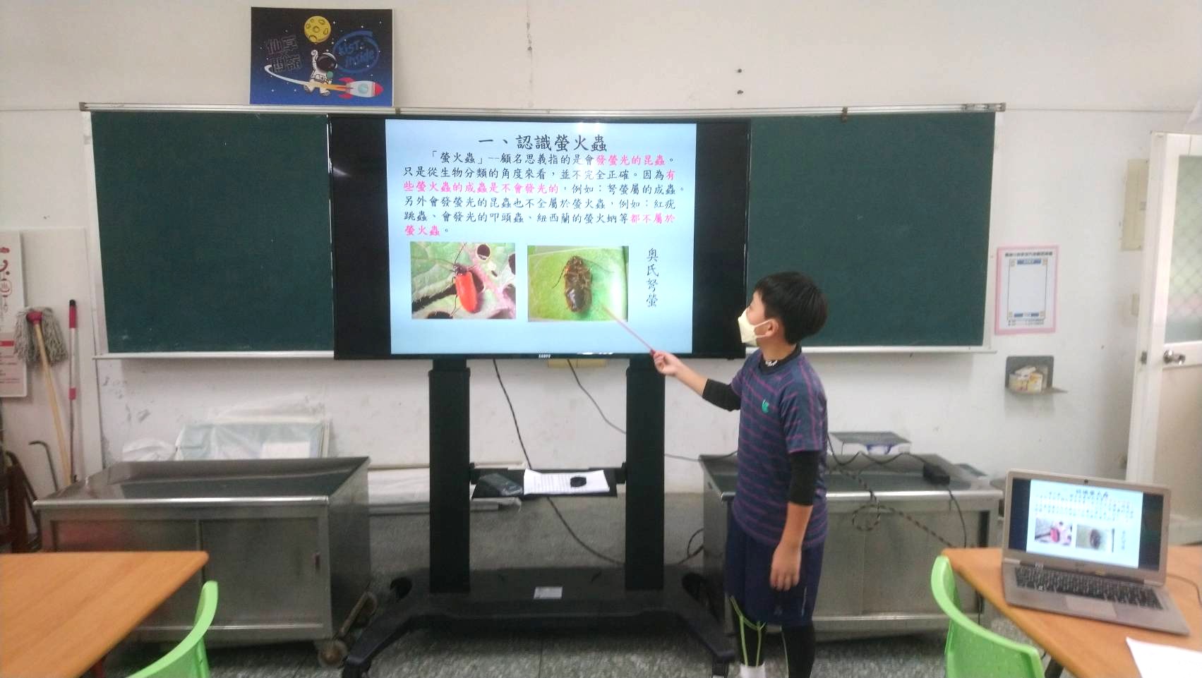 臺灣活力GO 臺灣活力GO