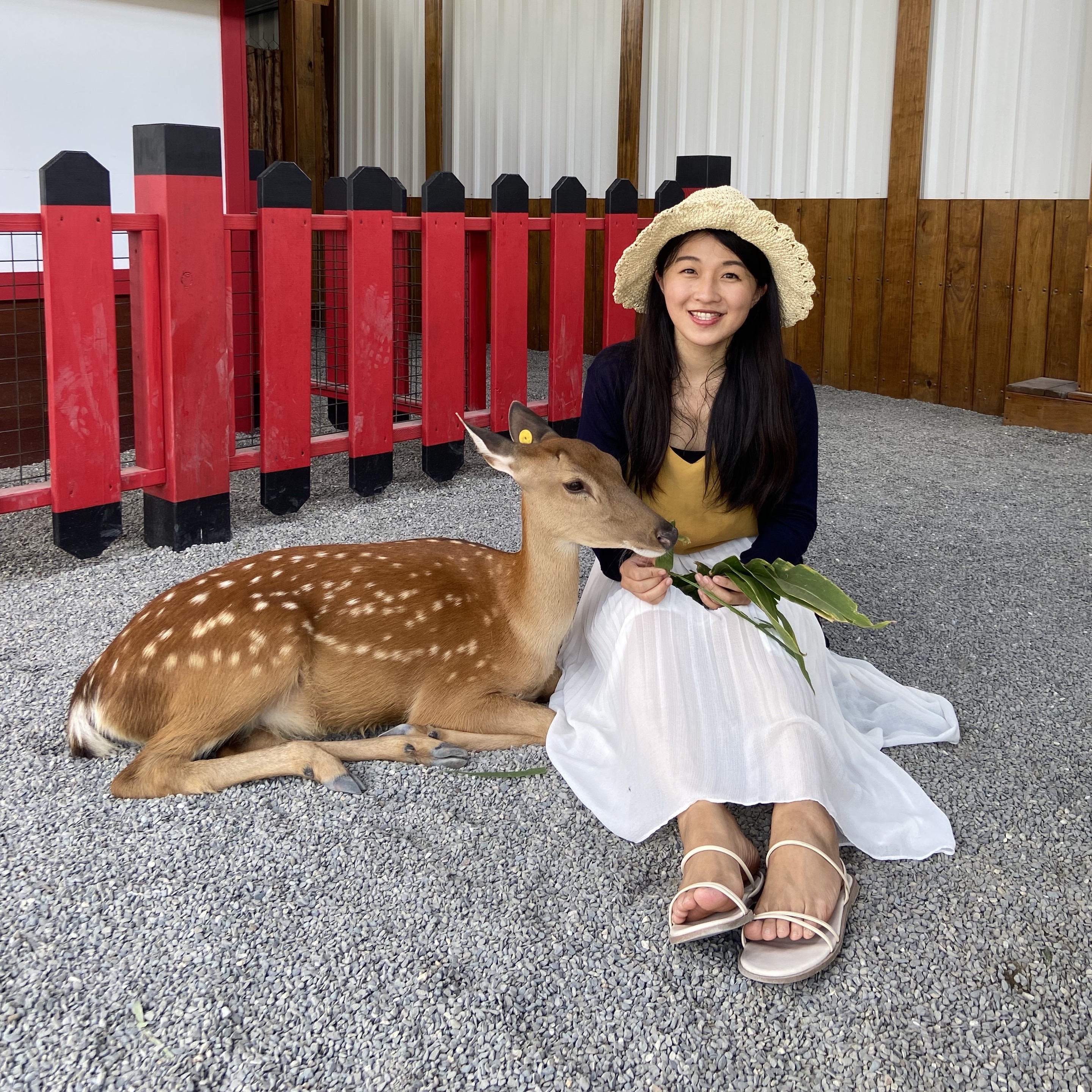 生物「食」驗課