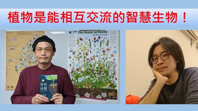 植物是能相互交流的智慧生物！