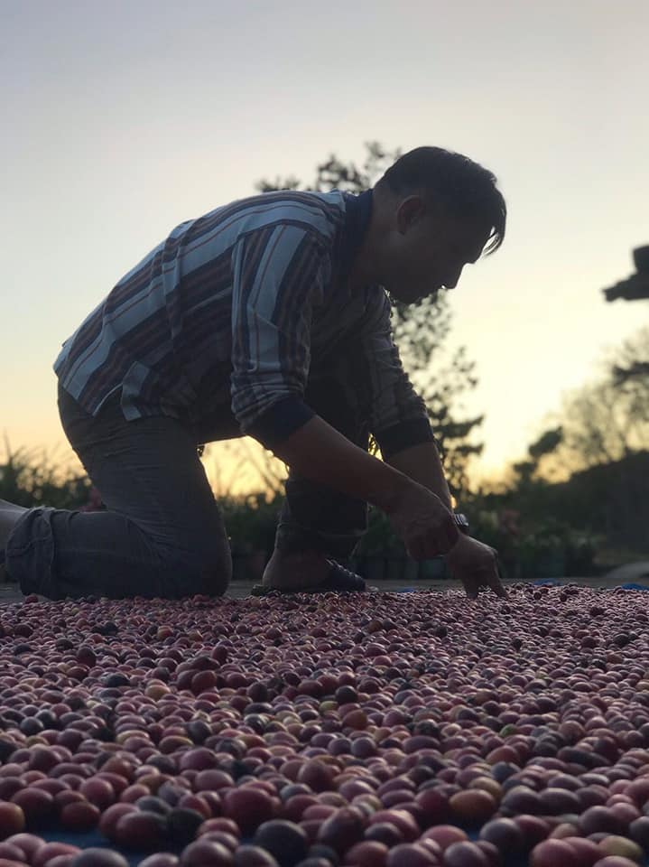 神農獎系列 世界咖啡第一人 郭章盛