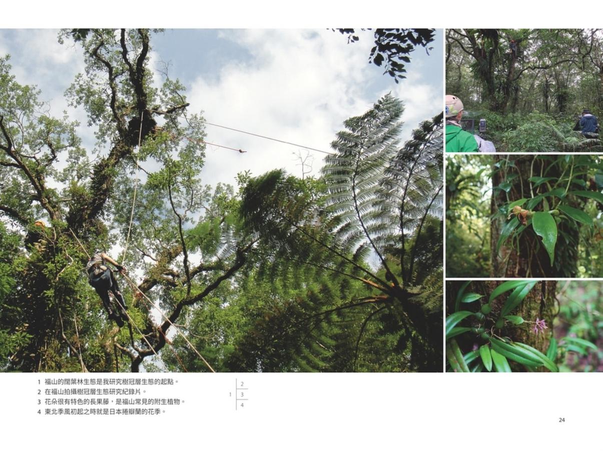 找樹的人 台灣巨木地圖計畫
