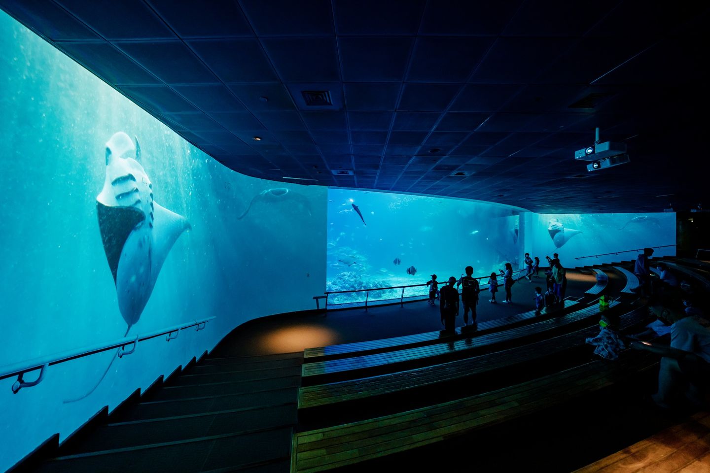 主題特色館  海洋生物博物館
