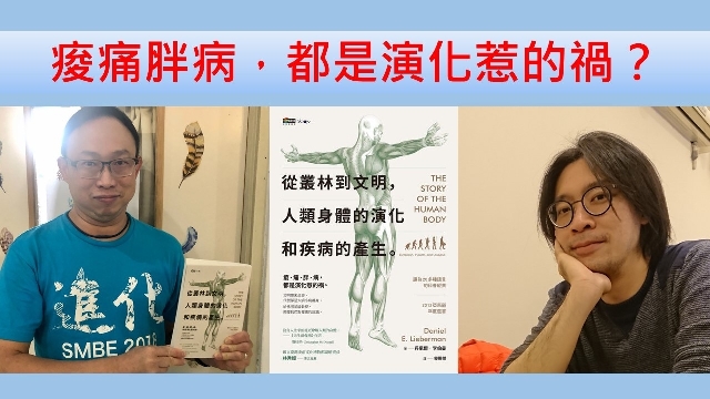 痠、痛、胖、病，都是演化惹的禍？