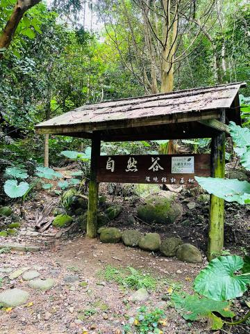 戀戀臺灣 戀戀臺灣