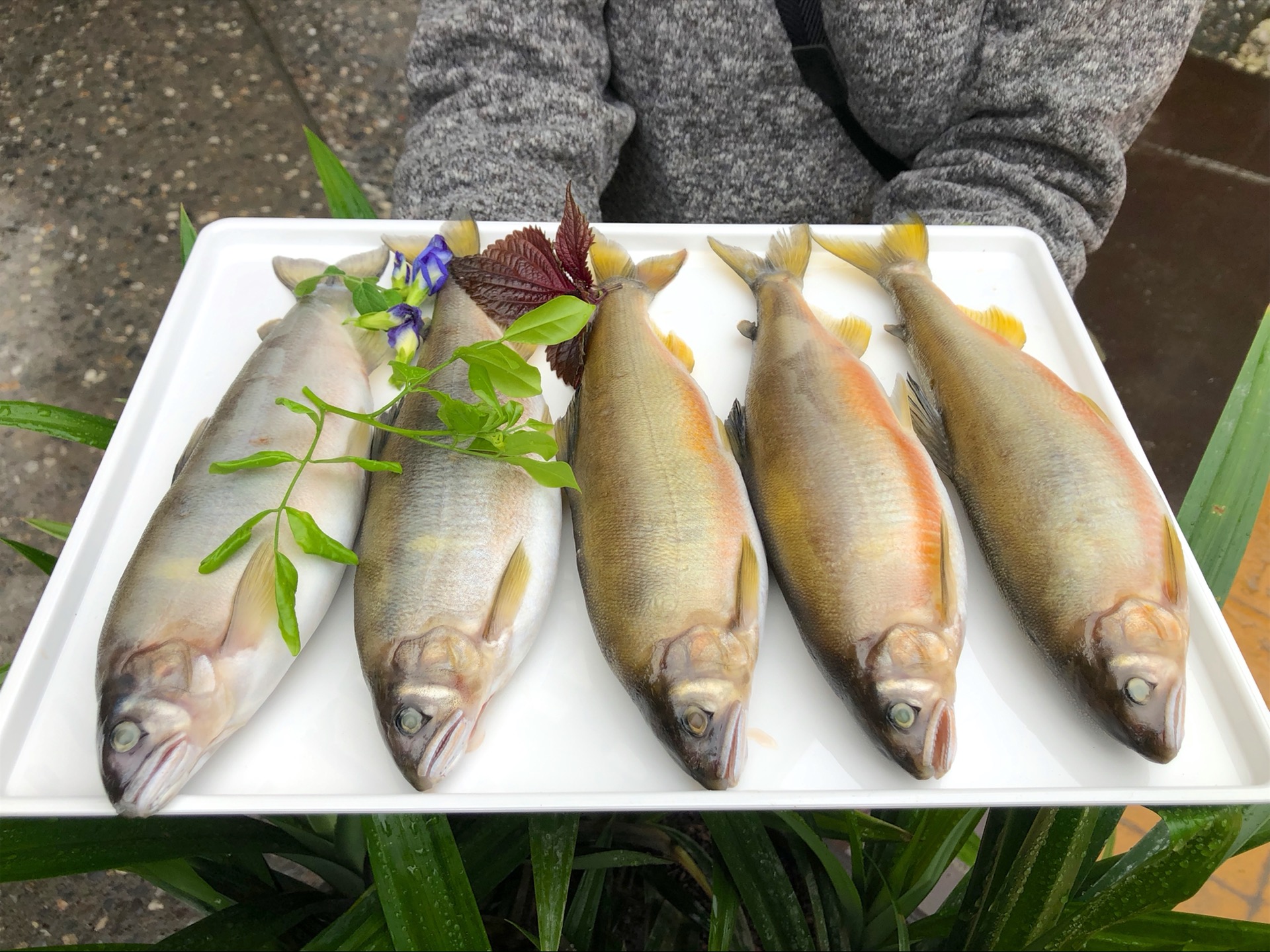 臺灣好滋味