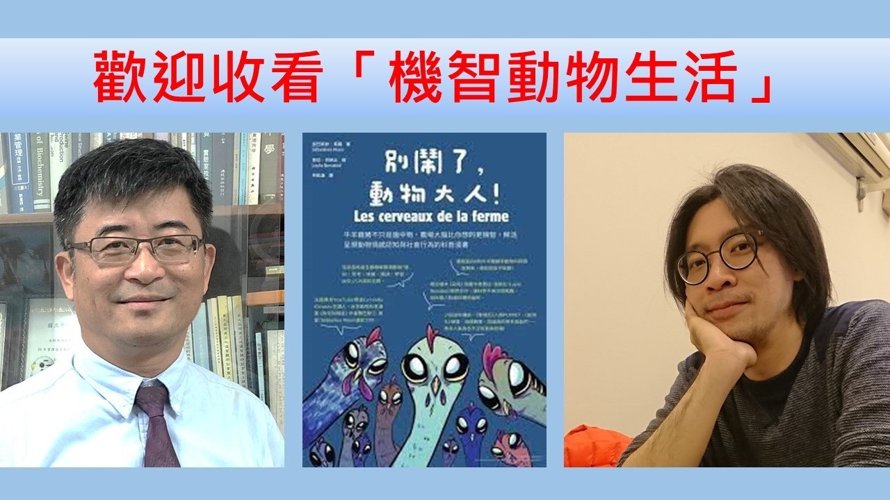 歡迎收看「機智動物生活」