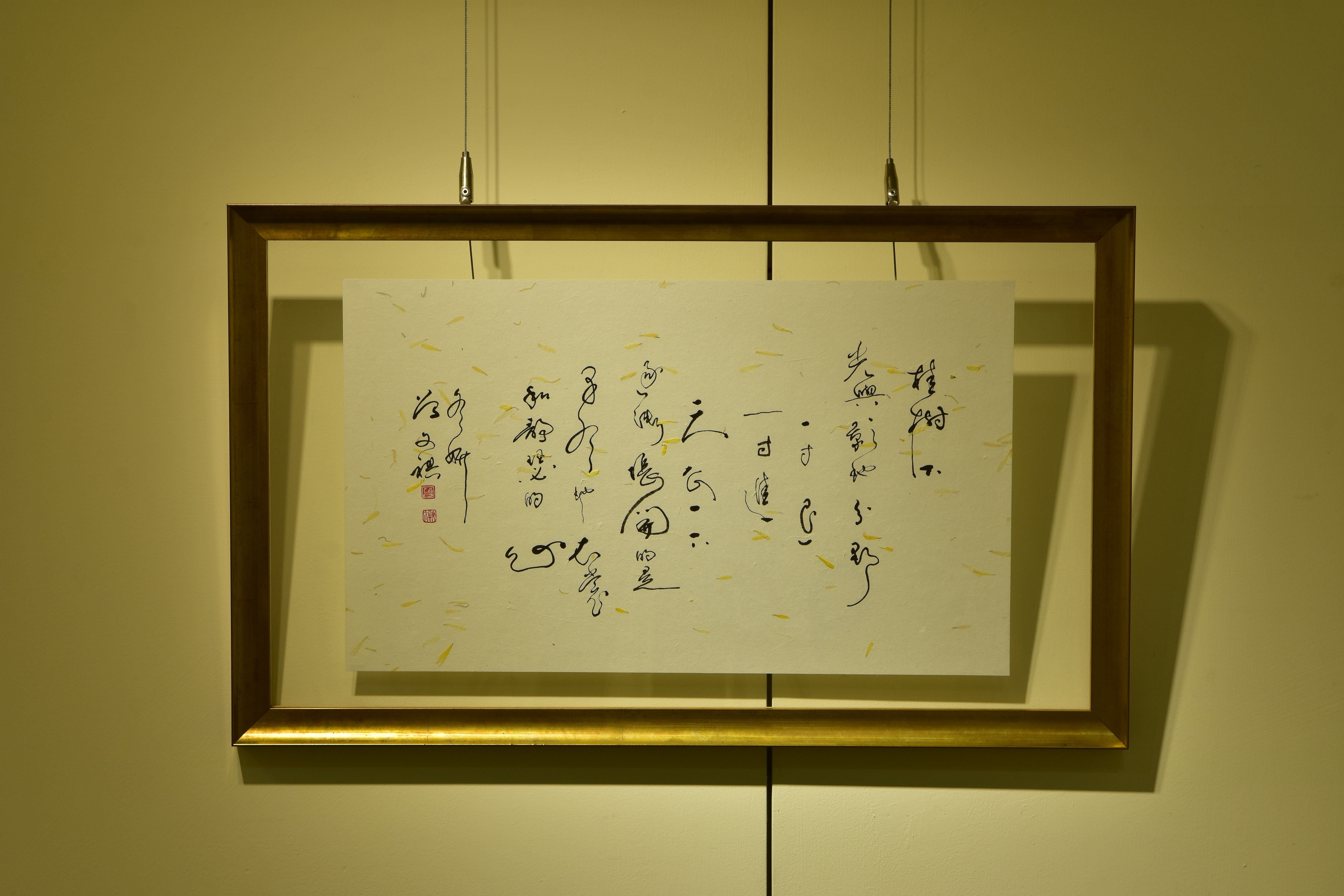 空中體育課