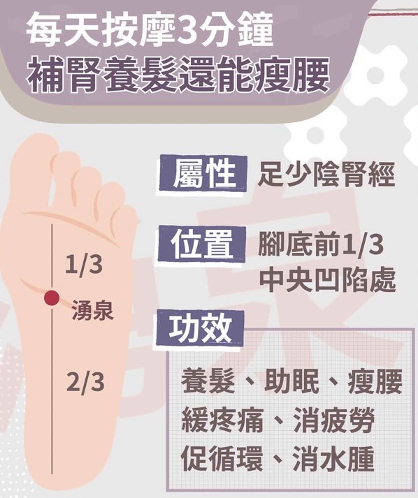 樂齡生活式