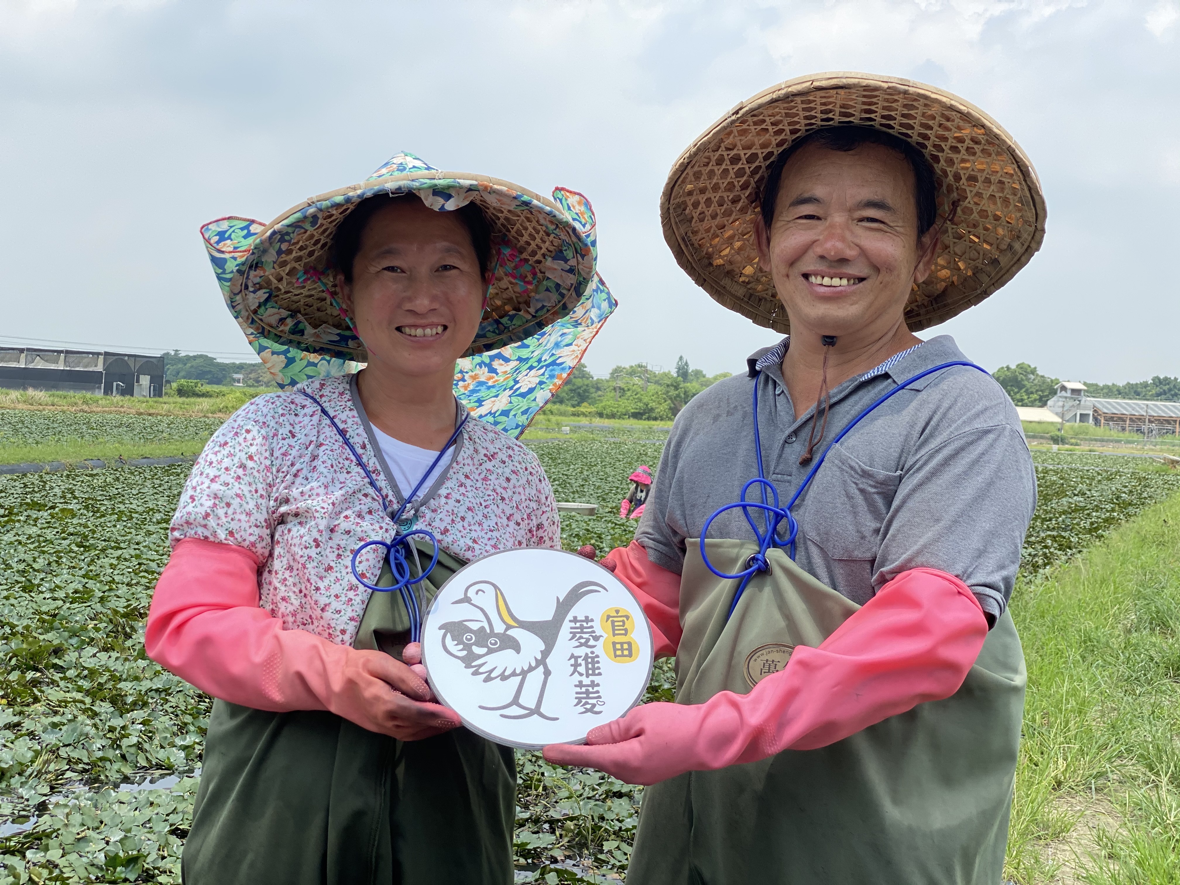 戀戀臺灣