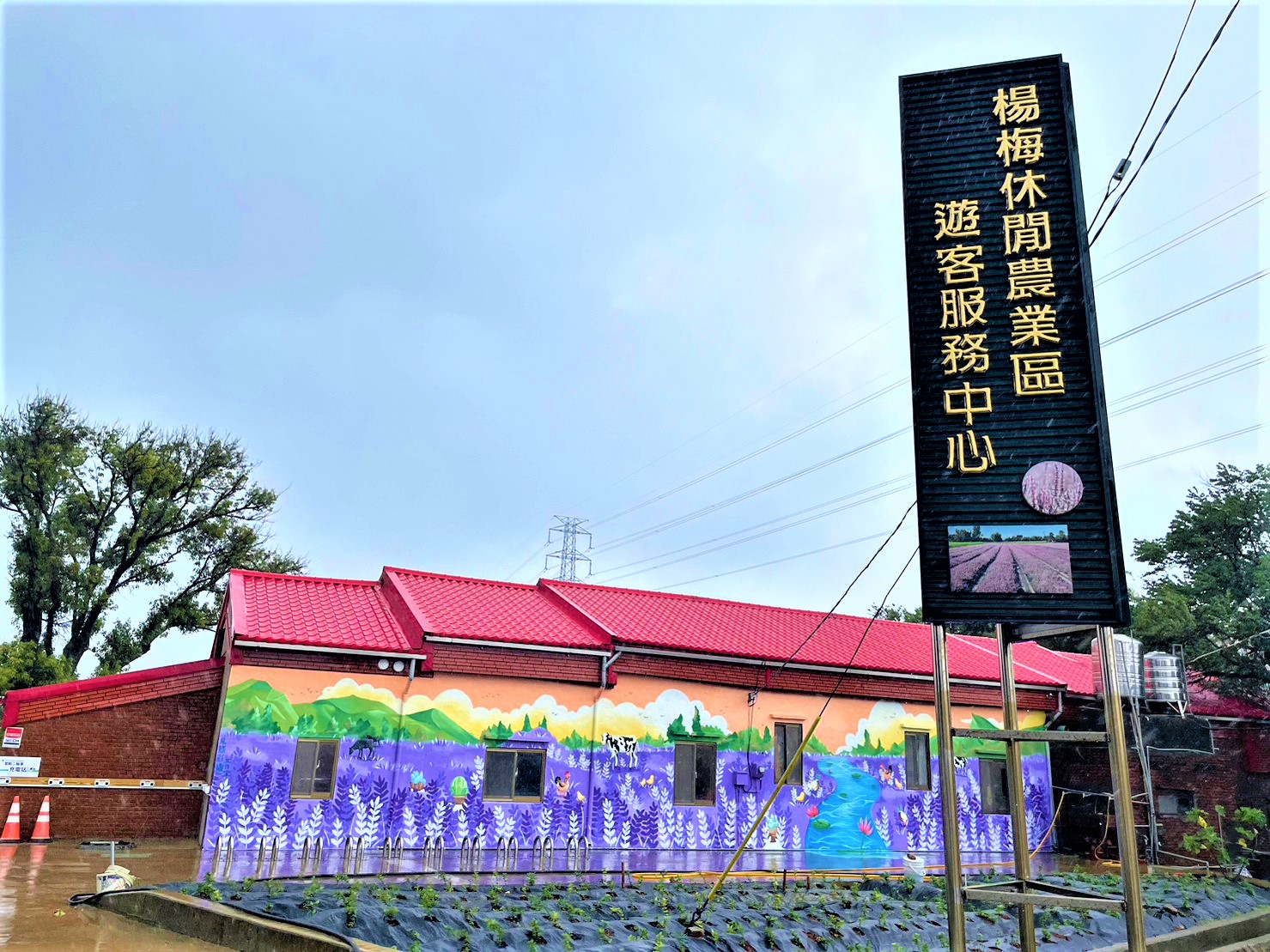 這鄉有里系列  楊梅休閒農業區
