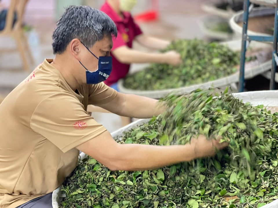 神農獎系列 羅正彬的故事 神農獎系列 羅正彬的故事
