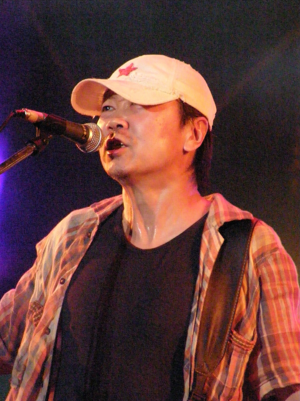 瓶中稿(華、粵) 瓶中稿(華、粵)