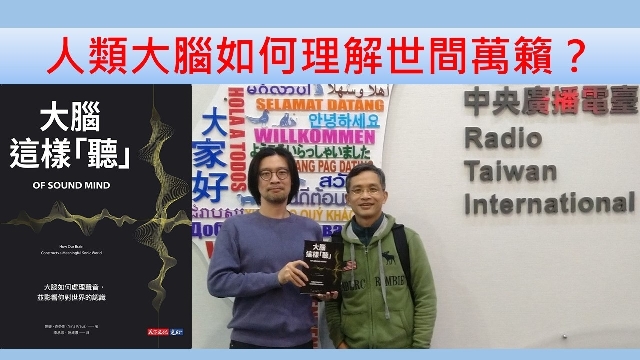 人類的大腦如何理解世間萬籟？