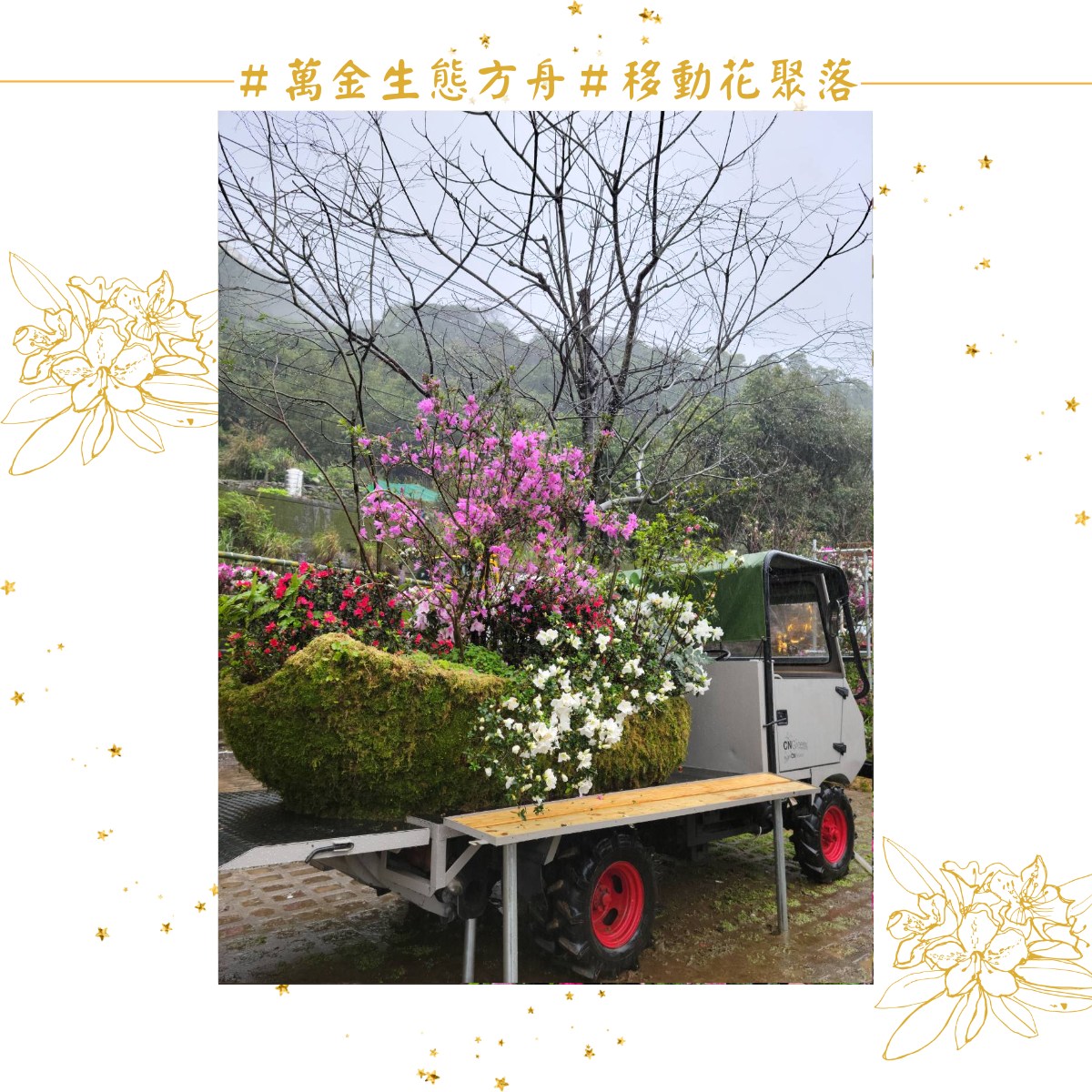 萬金杜鵑花展