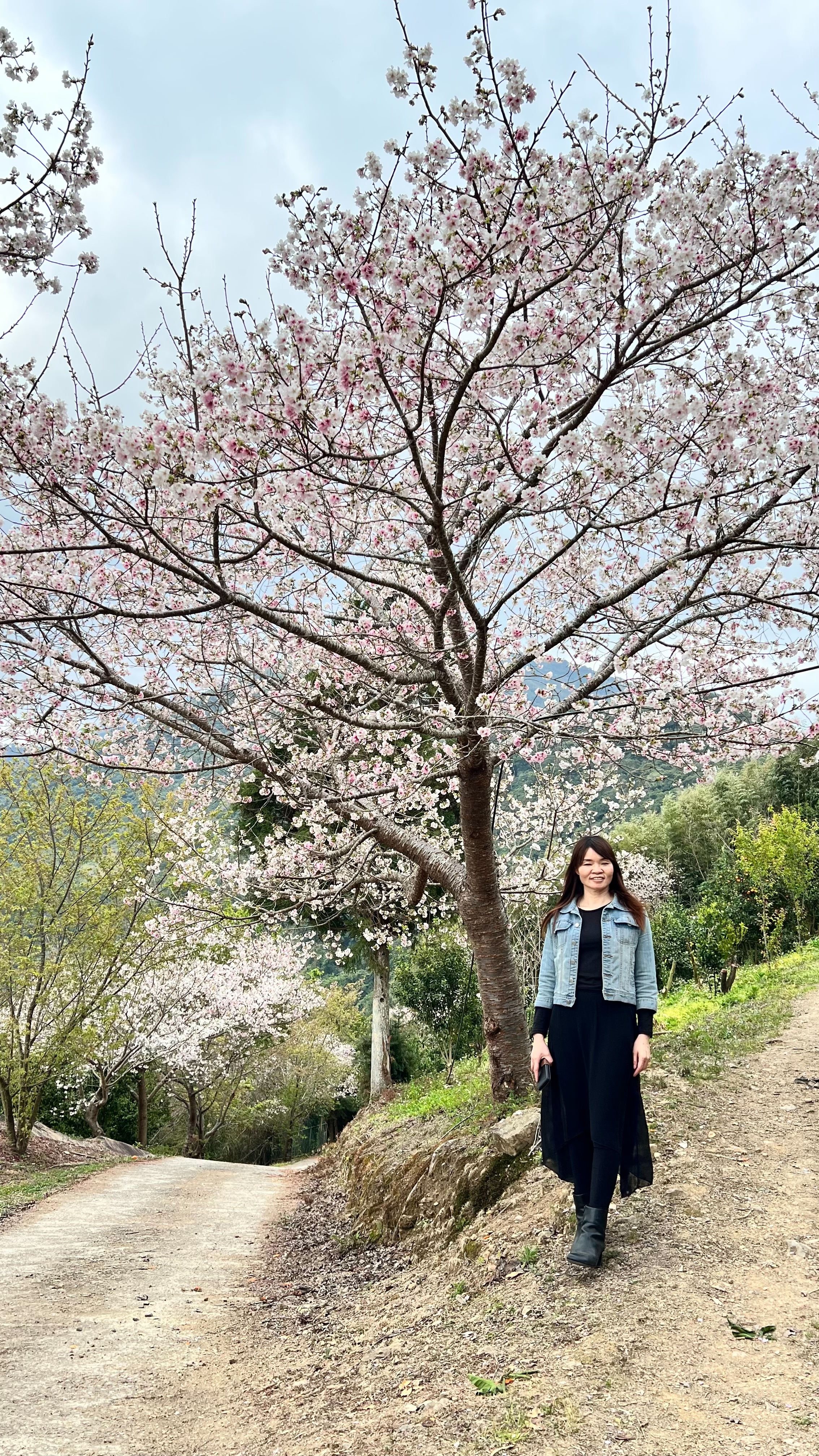 兩岸我的家
