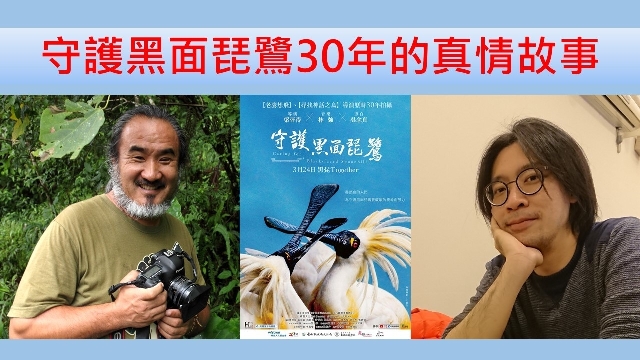 守護黑面琵鷺30年的真情故事