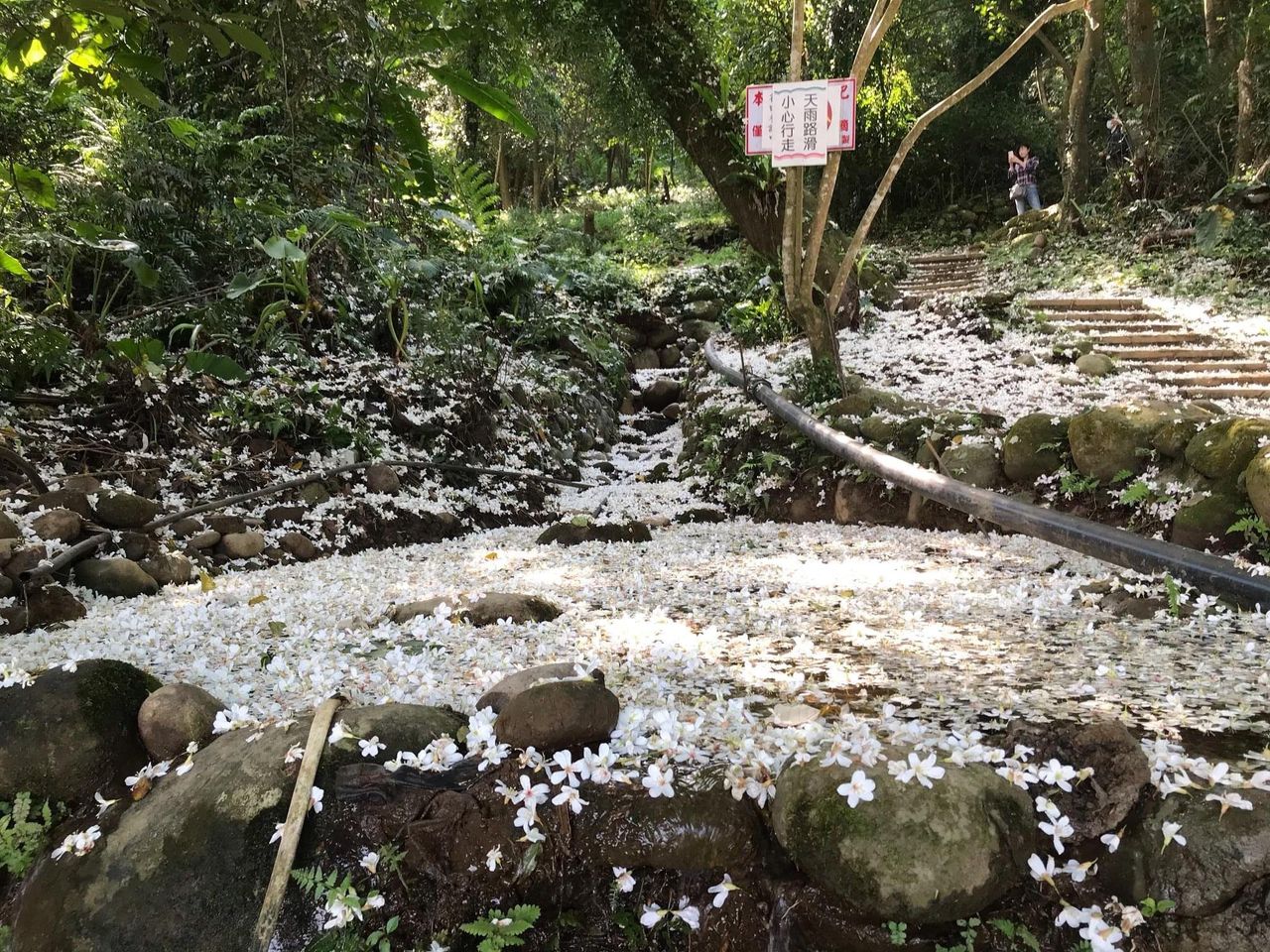 這鄉有里系列  大溪康莊休閒農埸區