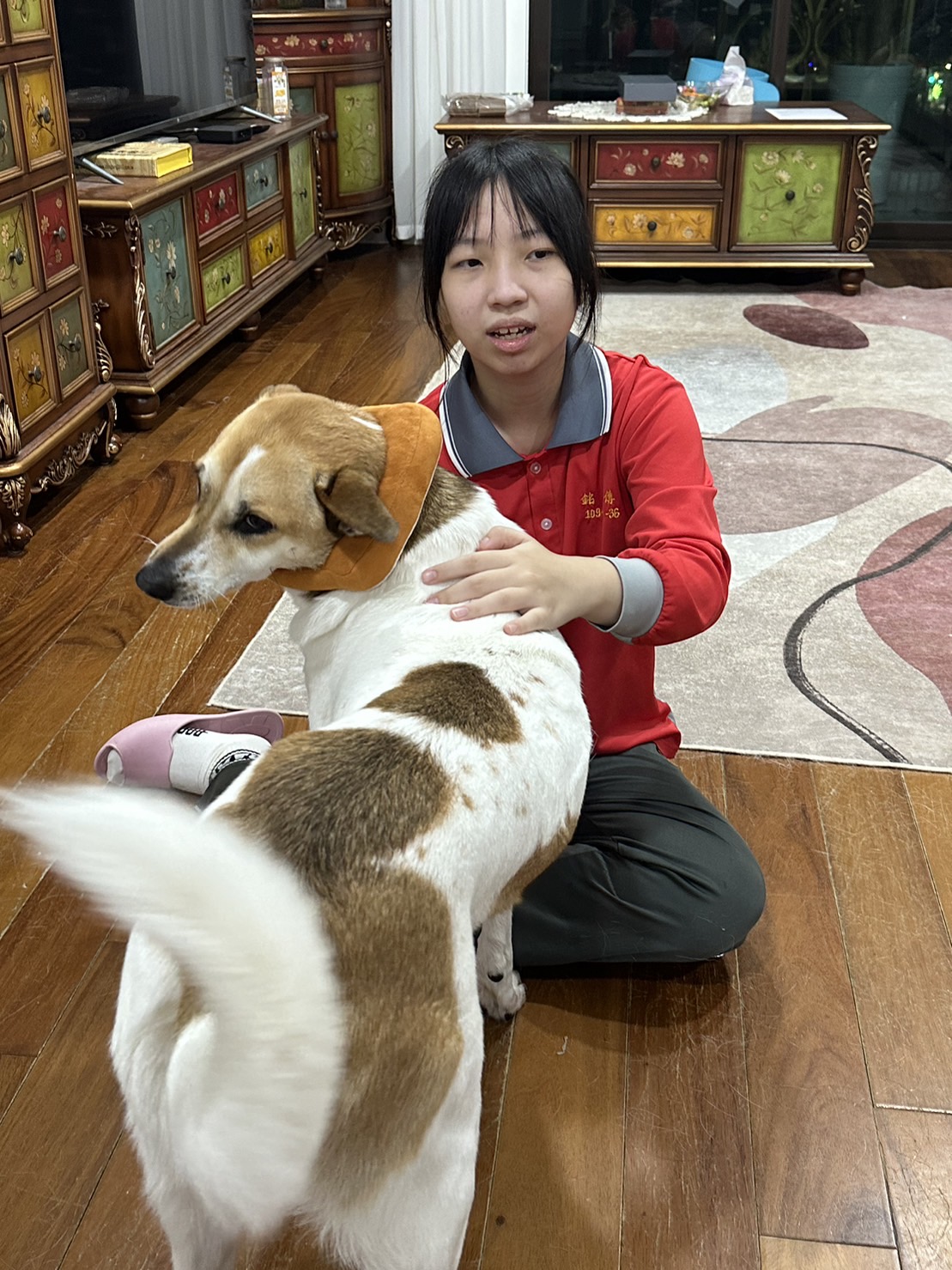 兩岸我的家