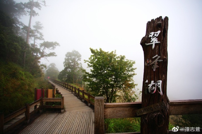李與譚談俚語:「山雞想水鴨」