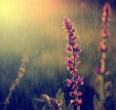 暗暝的落雨聲  上集