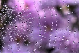 暗暝的落雨聲 下集