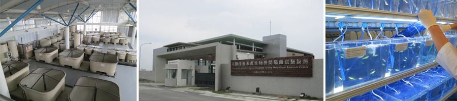 海洋保育需要科技與方法