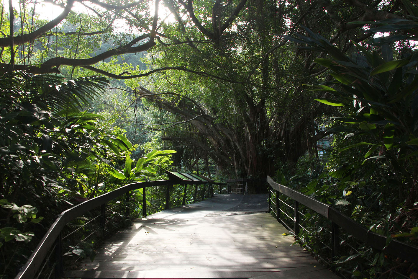 主題特色館系列  芝山文化生態綠園
