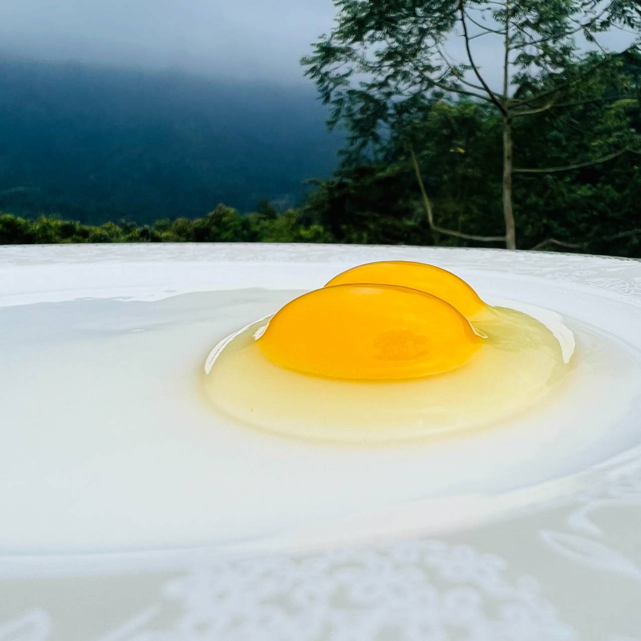 兩岸我的家