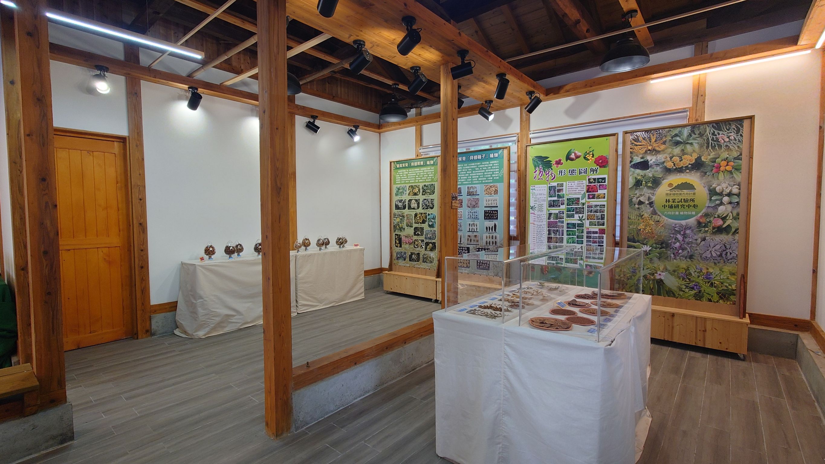 來去 「嘉義樹木園」欣賞『具翅種子』特展
