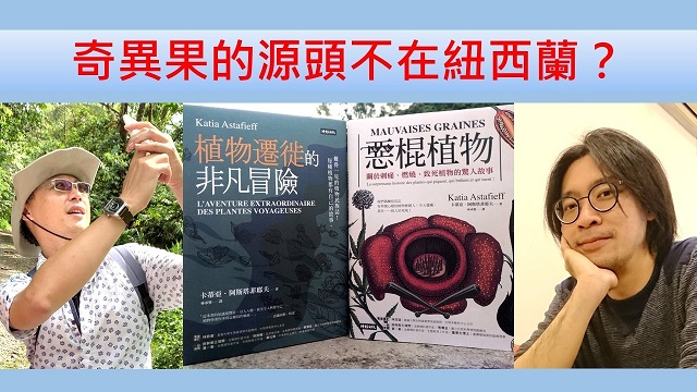 奇異果的源頭不在紐西蘭？