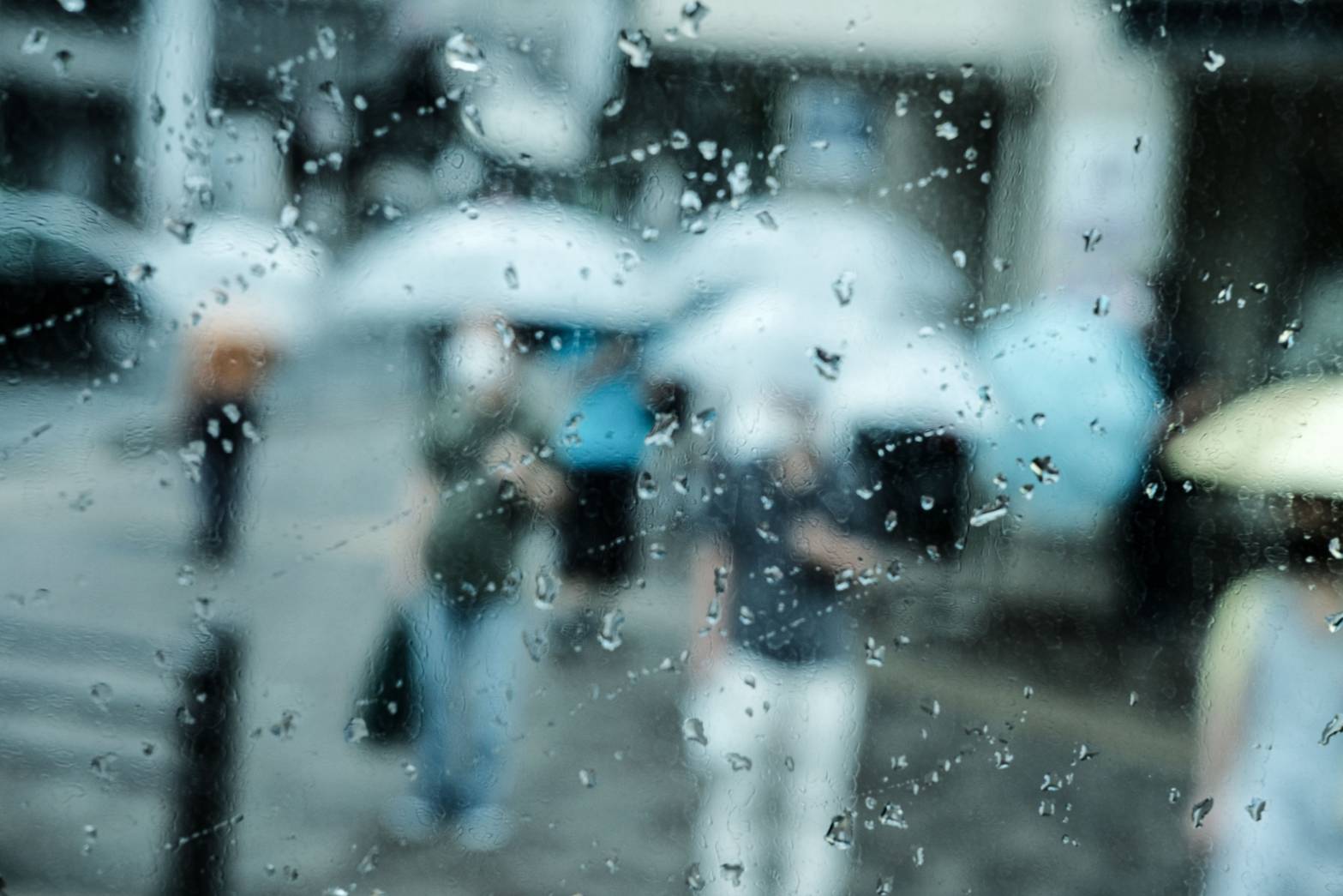 雨一直下，下出毛病來！